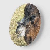 CAMELS GROßE WANDUHR (Winkel)