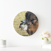 CAMELS GROßE WANDUHR (Zuhause)