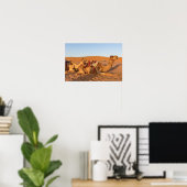 Camels in Oman desert Poster (Heimbüro)
