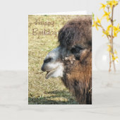 CAMELS KARTE (Gelbe Blume)