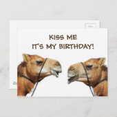 Camels Kissing Funny Postcard Postkarte (Vorne/Hinten)