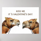 Camels Kissing Funny Poster (Vorne)