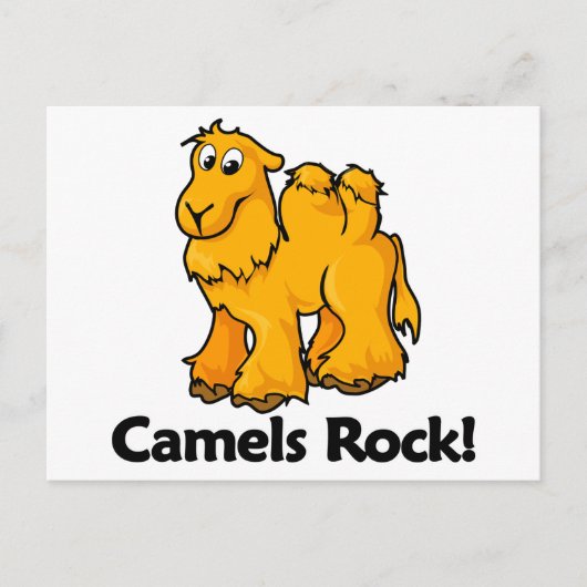 Camels Rock! Postkarte (Vorderseite)