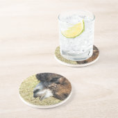 CAMELS UNTERSETZER (Seite)