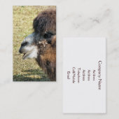 CAMELS VISITENKARTE (Vorne/Hinten)