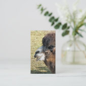 CAMELS VISITENKARTE (Stehend Vorderseite)