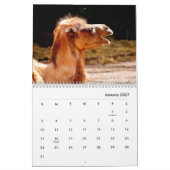 Camels Wall Calendar Kalender (Jan 2027)