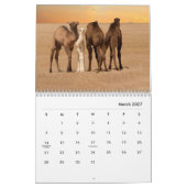 Camels Wall Calendar Kalender (Mär 2027)