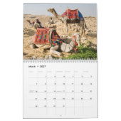 CAMELS Wall Calendar Kalender (Mär 2027)