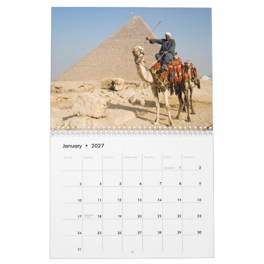 CAMELS Wall Calendar Kalender (Jan 2027)