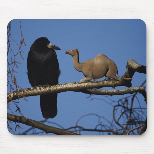 Camelus dromedarius mousepad (Vorne)