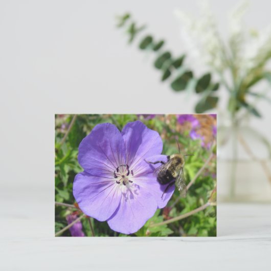 Camera Shy Bumble Bee Postkarte (Stehend Vorderseite)