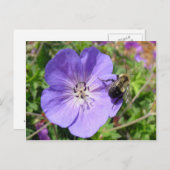 Camera Shy Bumble Bee Postkarte (Vorne/Hinten)