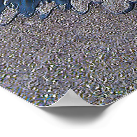 Camera Shy Poster (Ecke)