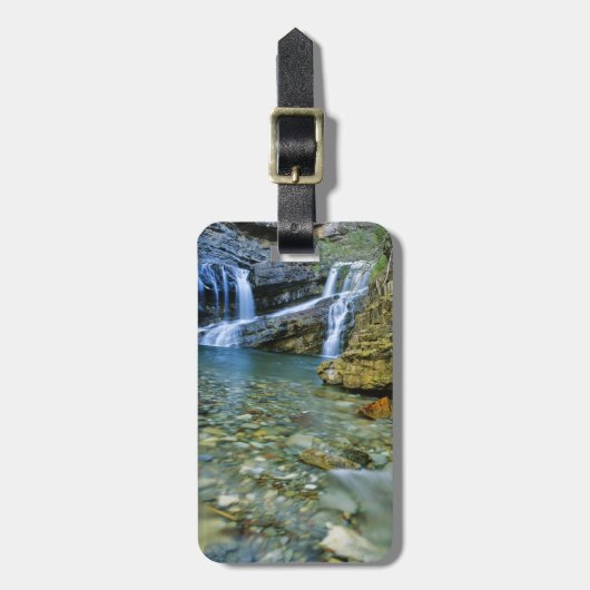 Cameron Falls in Waterton Lake National Park Gepäckanhänger (Vorderseite vertikal)