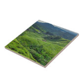 Cameron Highlands Tea Plantation Fliese (Seite)