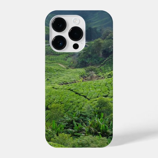 Cameron Highlands Tea Plantation iPhone Hülle (Rückseite)