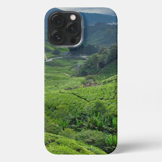 Cameron Highlands Tea Plantation iPhone Hülle (Rückseite)