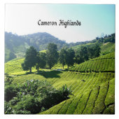 Cameron Highlands, Tea Plantation, Malaysia Fliese (Vorderseite)