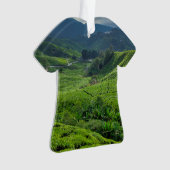 Cameron Highlands Tea Plantation Ornament (Vorderseite)