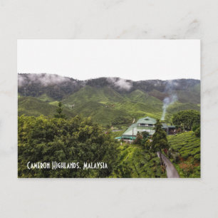 Cameron Highlands Teeplantage, Malaysia Postkarte