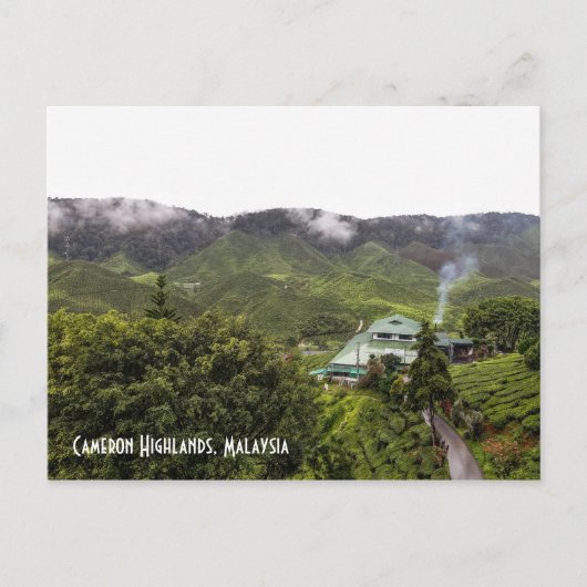 Cameron Highlands Teeplantage, Malaysia Postkarte (Vorderseite)