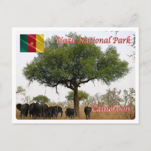 Cameroon - Wasa National Park - Postkarte