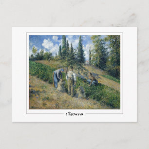 Camille Pissarro #283 - Fine Art Postcard Postkarte