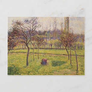 Camille Pissarro- Apfelbäume im Feld Postkarte