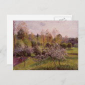 Camille Pissarro - Blühende Apfelbäume, Eragny Postkarte (Vorne/Hinten)