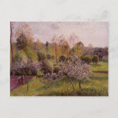 Camille Pissarro - Blühende Apfelbäume, Eragny Postkarte (Vorderseite)