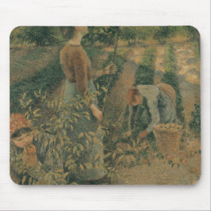 Camille Pissarro die Apple-Pflücker, 1886 Mousepad