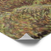 Camille Pissarro - Hay @ Eragny Bauer 1889 Oil Poster (Ecke)