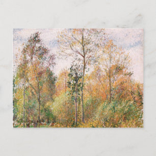Camille Pissarro - Herbst, Poplars, Eragny Postkarte
