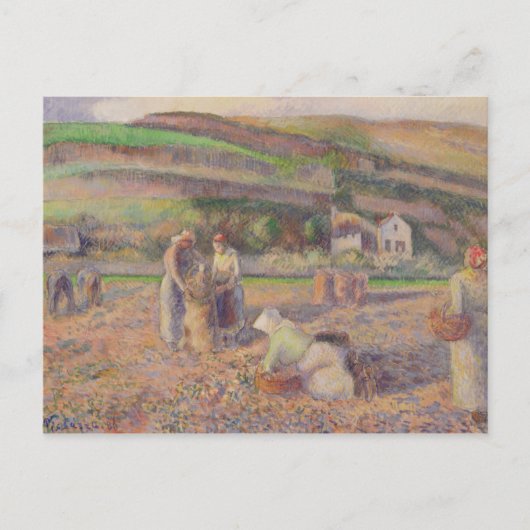 Camille Pissarro | Kartoffelernte Postkarte (Vorderseite)