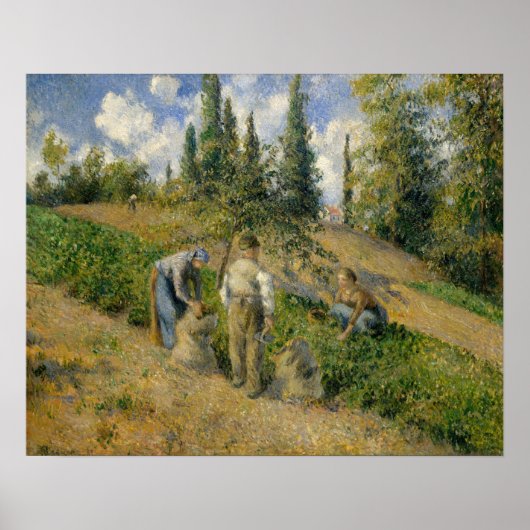 Camille Pissarro The Harvest | Poster (Vorne)