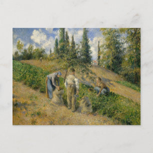 Camille Pissarro The Harvest Postkarte