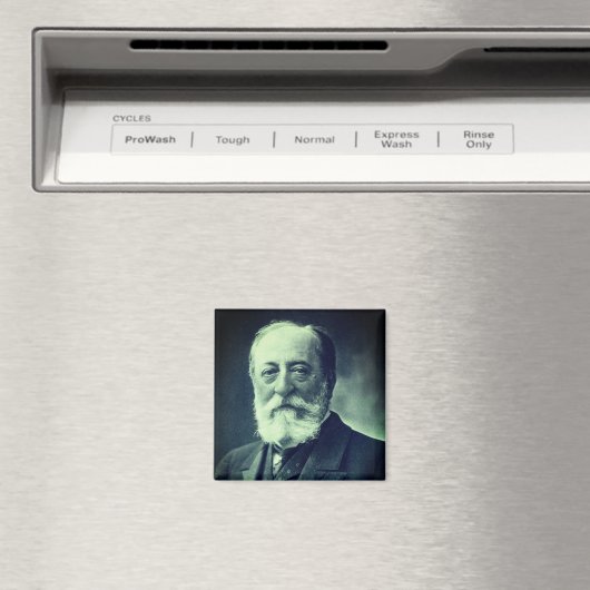 Camille Saint-Saëns (Nadar, Fotograf) Magnet (In Situ (Geschirrspüler))