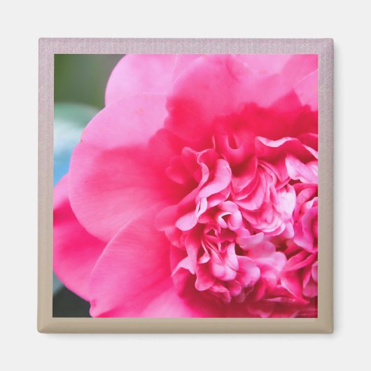 Camillia Artistic Pink Blume Magnet (Vorne)