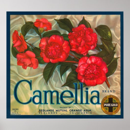 Camillia Brand Orangen Klassisches Fruchtkorb-Labe Poster (Vorne)