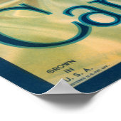 Camillia Brand Orangen Klassisches Fruchtkorb-Labe Poster (Ecke)