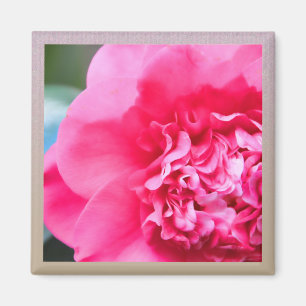 Camillia künstlerischer rosa Blumen-Magnet Magnet