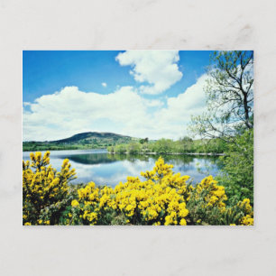Camlough Lough, Landkreis Down, Irland Blume Postkarte