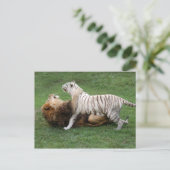 CamNzabu006 Postkarte (Stehend Vorderseite)