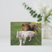 CamNzabu030 Postkarte (Stehend Vorderseite)