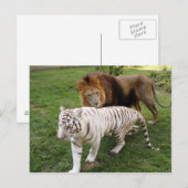 CamNzabu030 Postkarte (Vorne/Hinten)