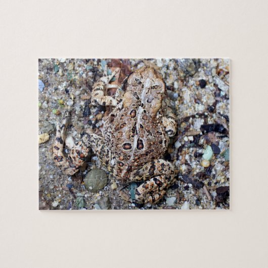 Camoflouge Frog Toad Amphibien Puzzle (Horizontal)