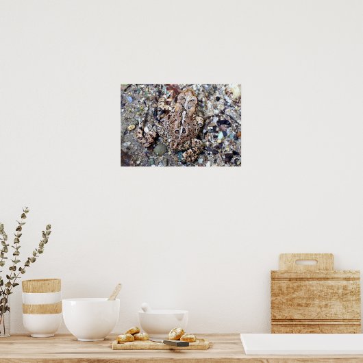 Camoflouge Toad Poster (Küche)