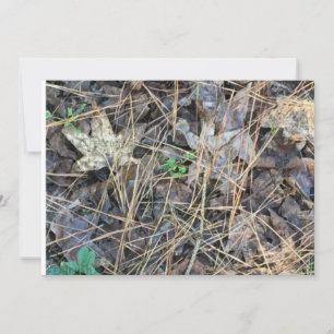 Camouflage Blank Einladungen, Camouflage Einladung