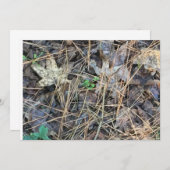 Camouflage Blank Einladungen, Camouflage Einladung (Vorne/Hinten)